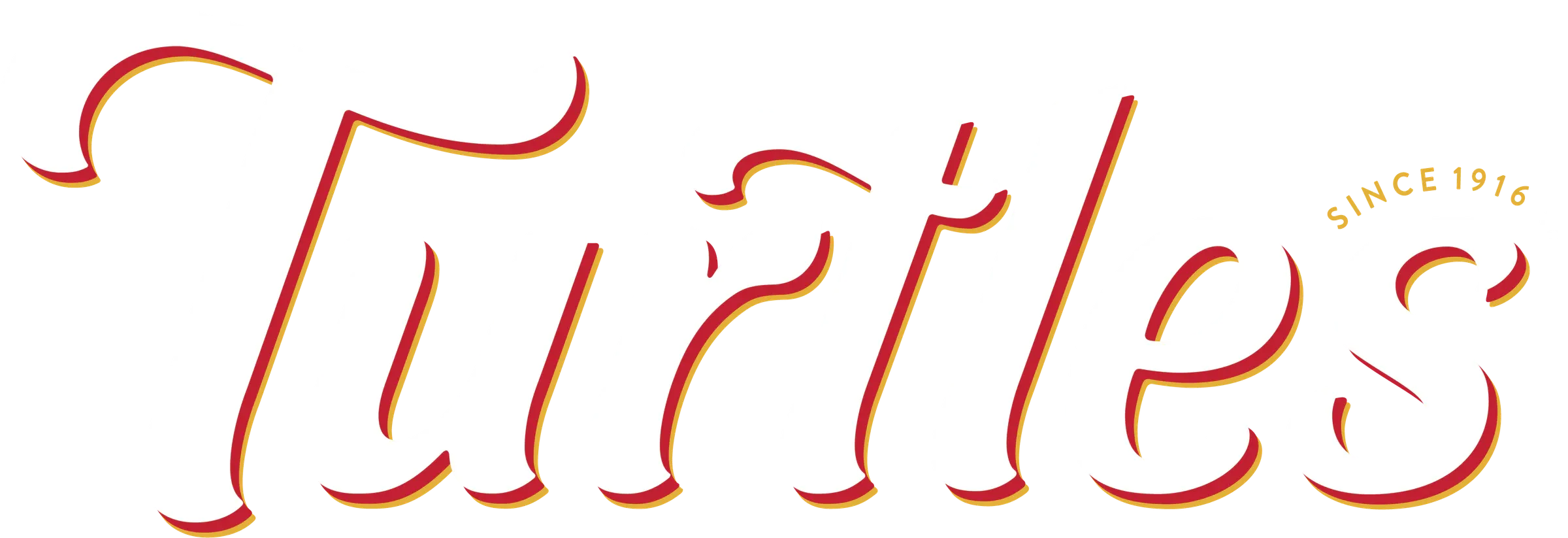 Turtles logo